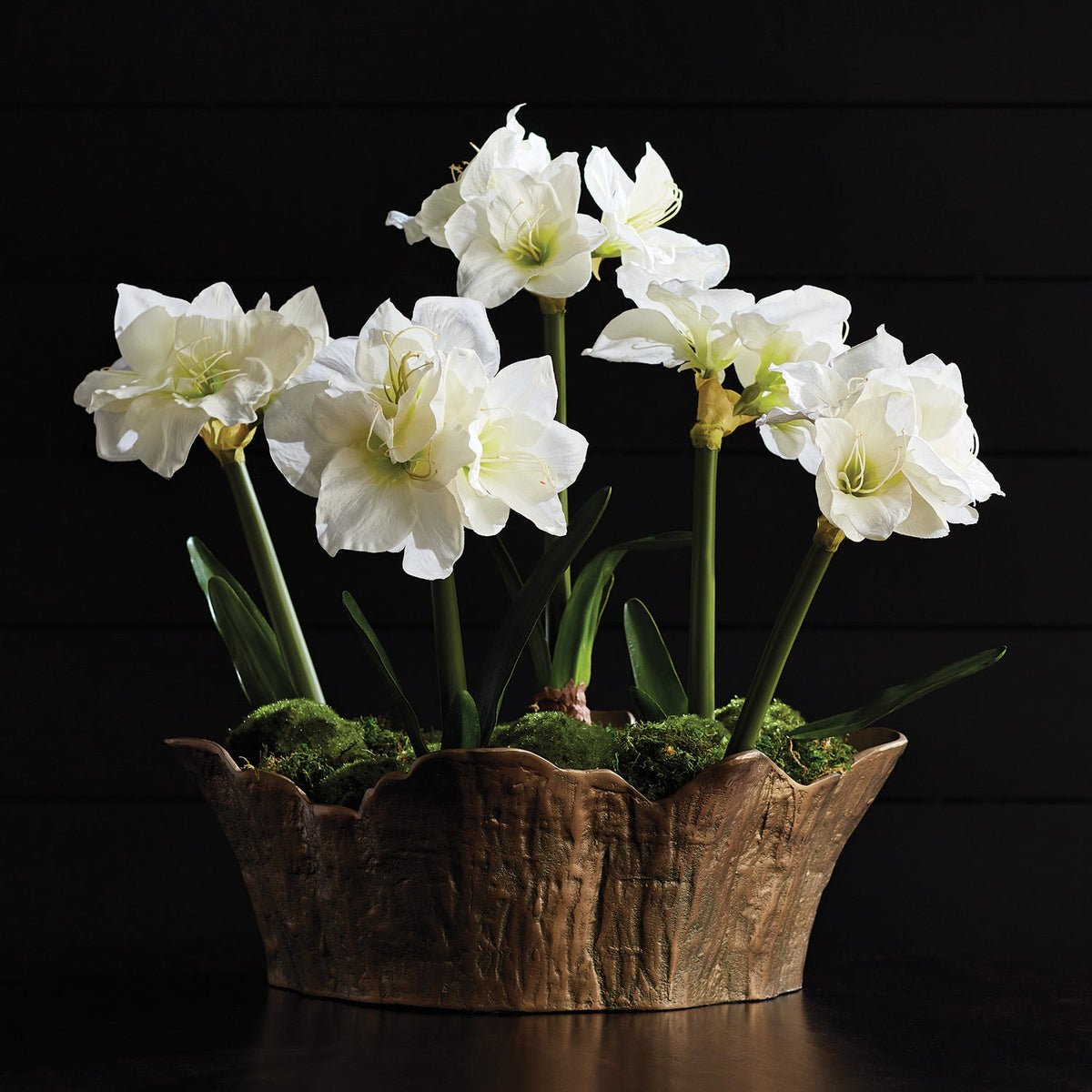Amaryllis White Bulb Faux Plant Set of 2