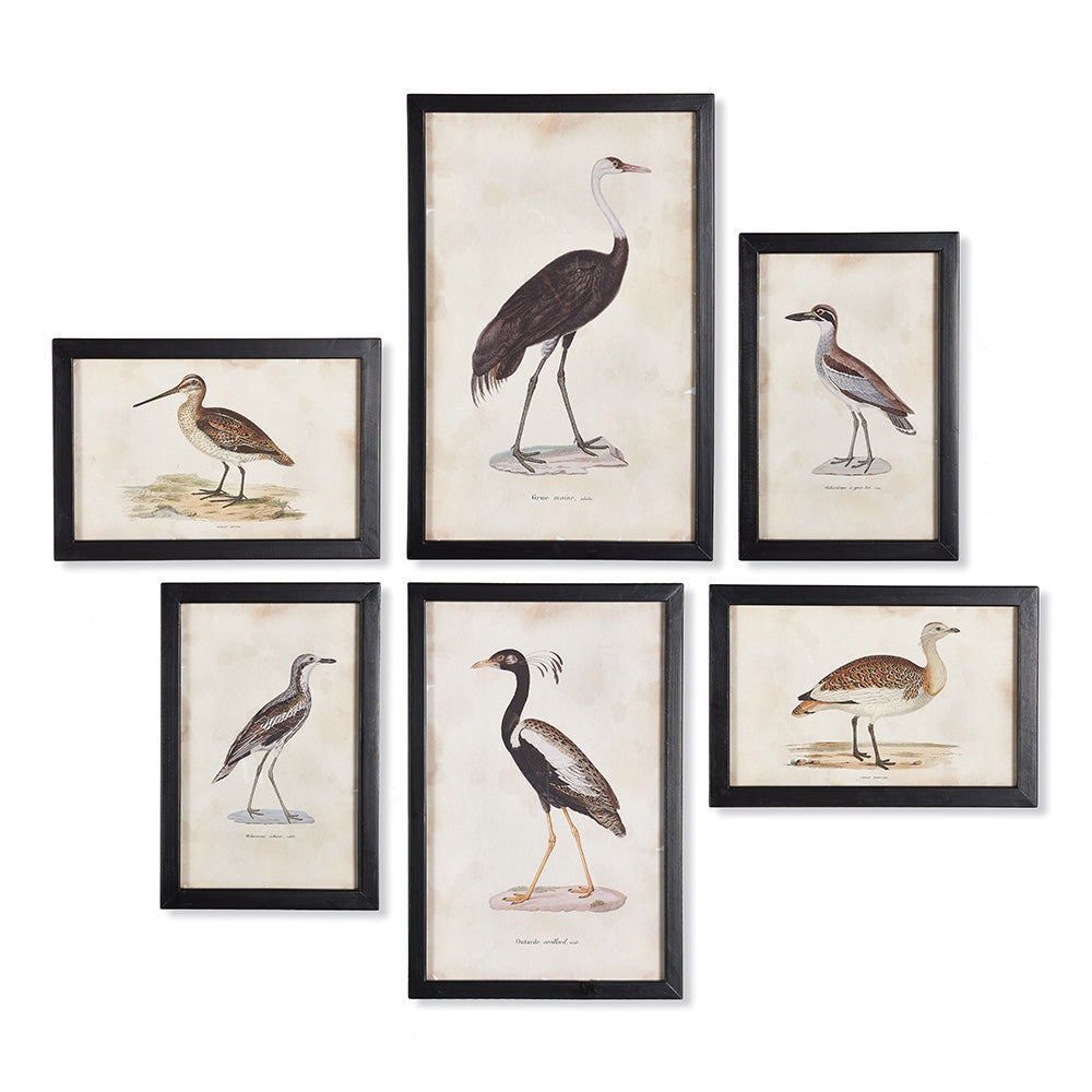 Waterfowl Gallery Wall Art Set of 6