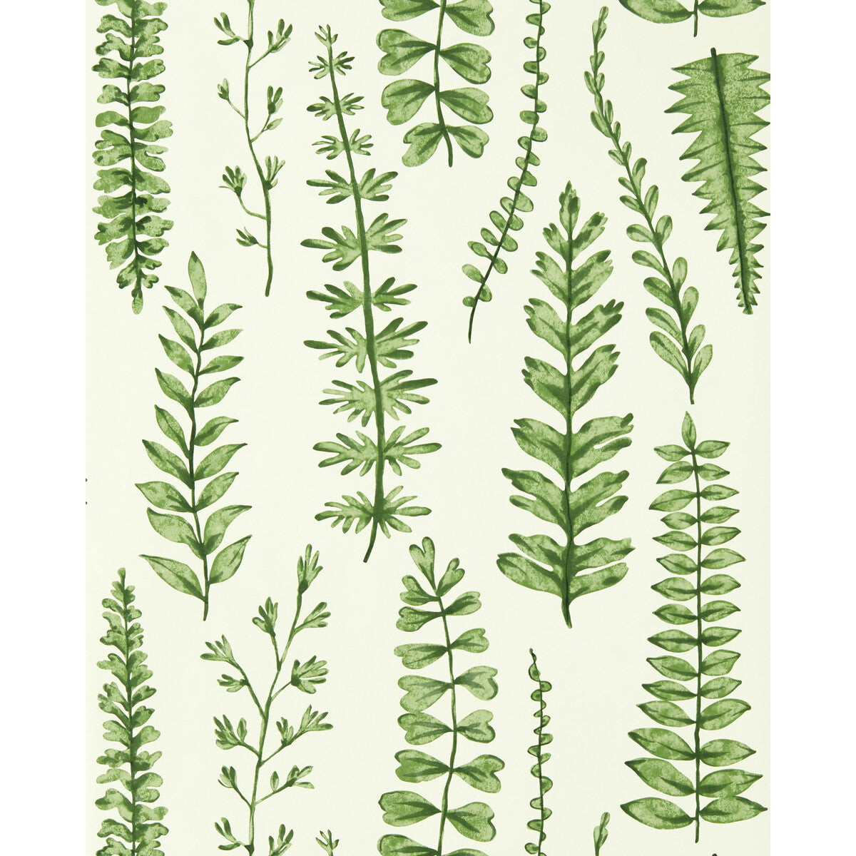 Scion x Kravet Ferns Juniper Wallpaper