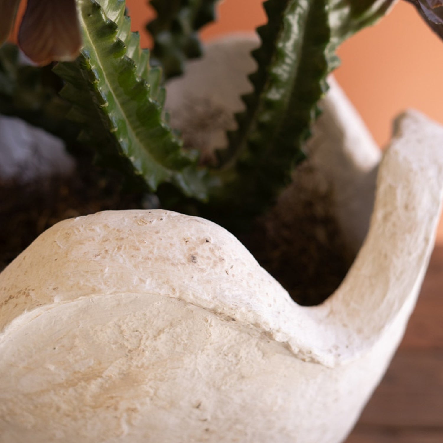 Paper Mache Bowl with Wavy Rim