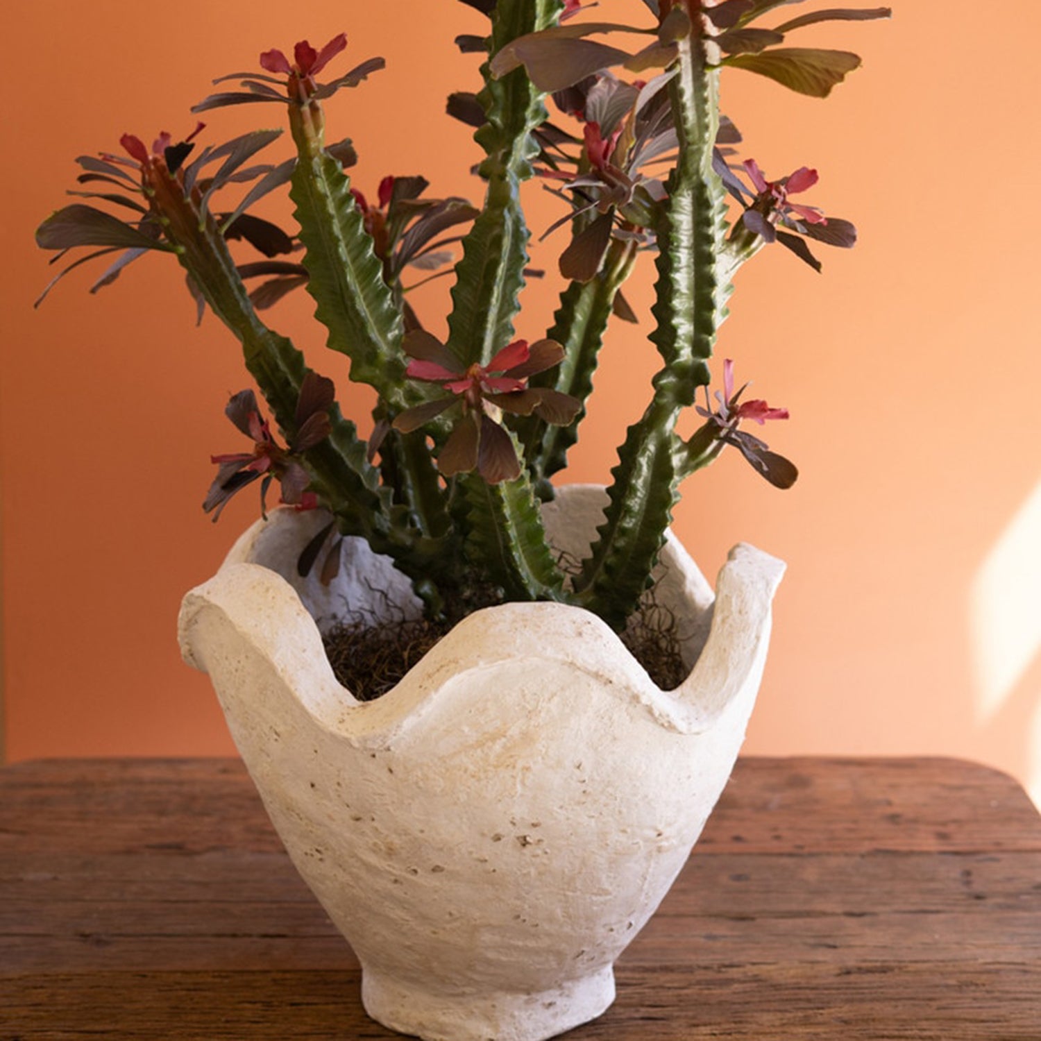 Paper Mache Bowl with Wavy Rim