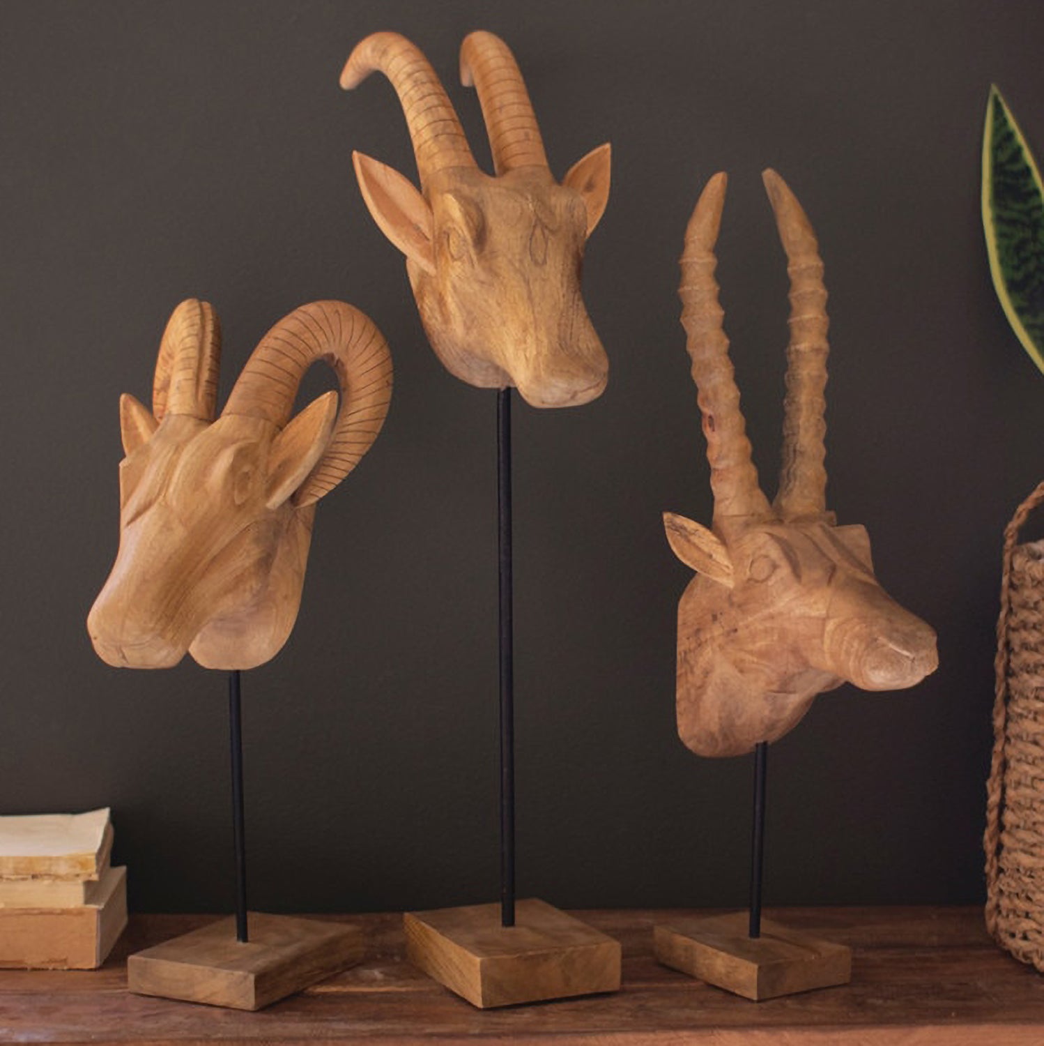 Carved Mango Wood African Animal Head Set of 3