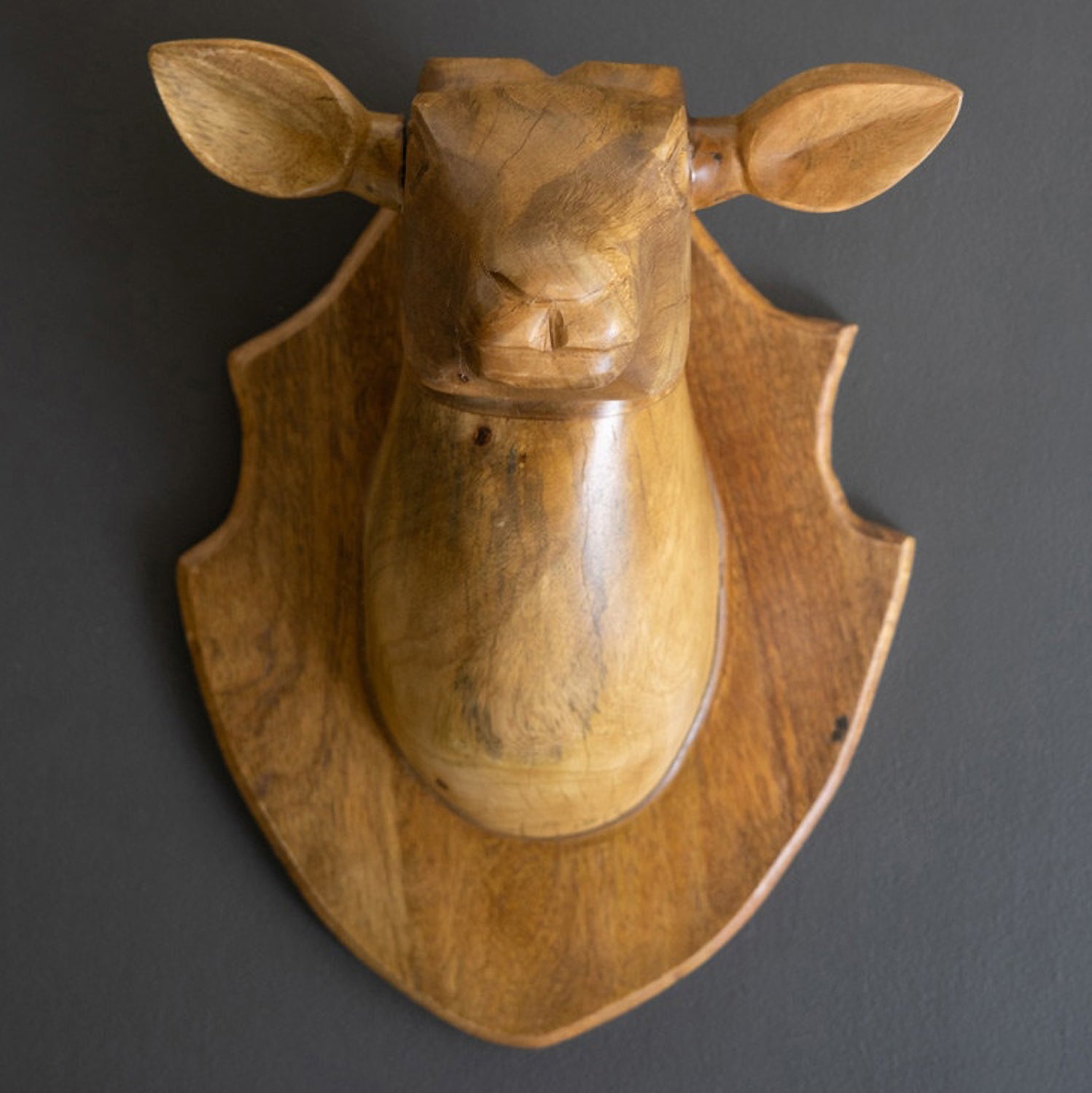 Wall Mounted Deer Head