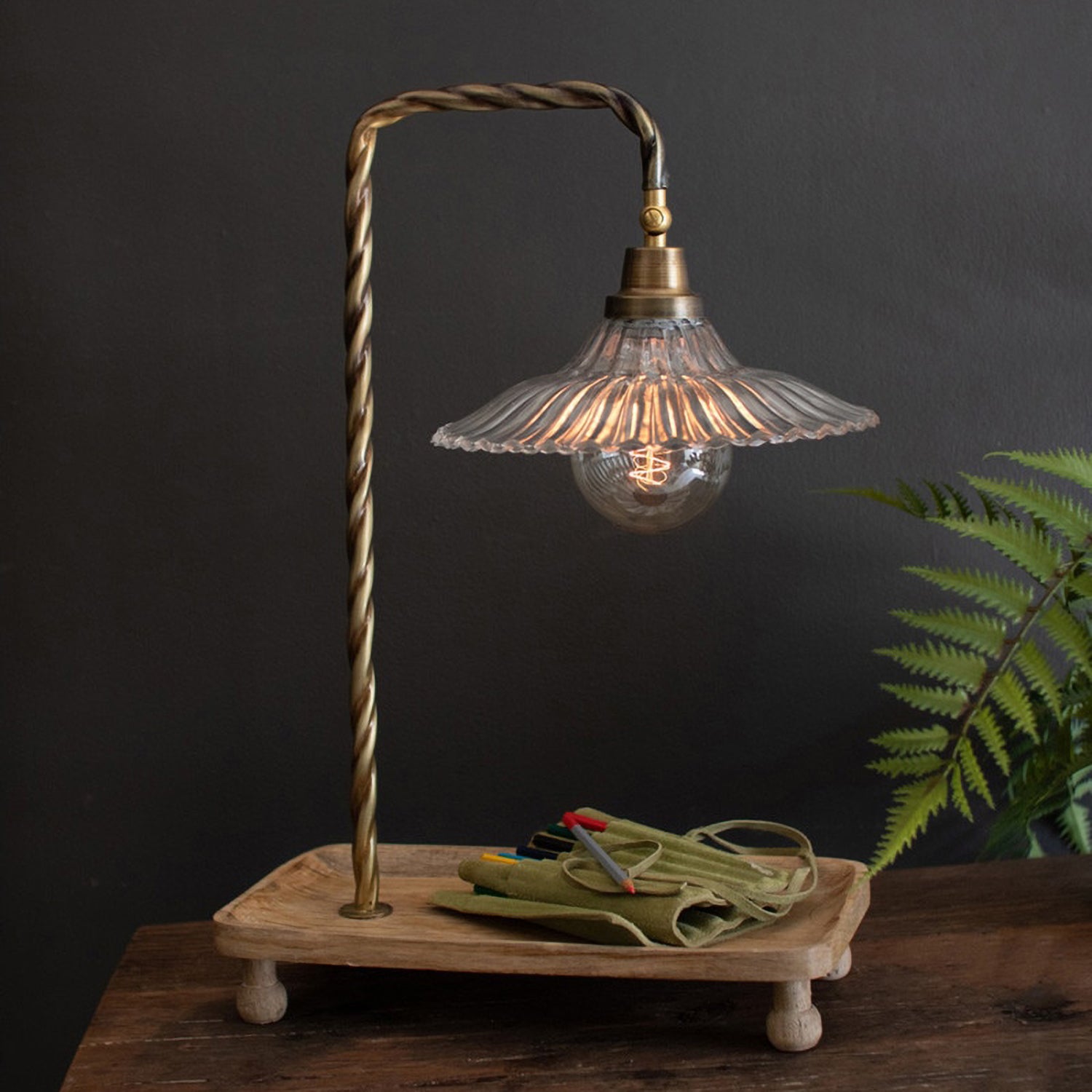 Twisted Gooseneck Table Lamp