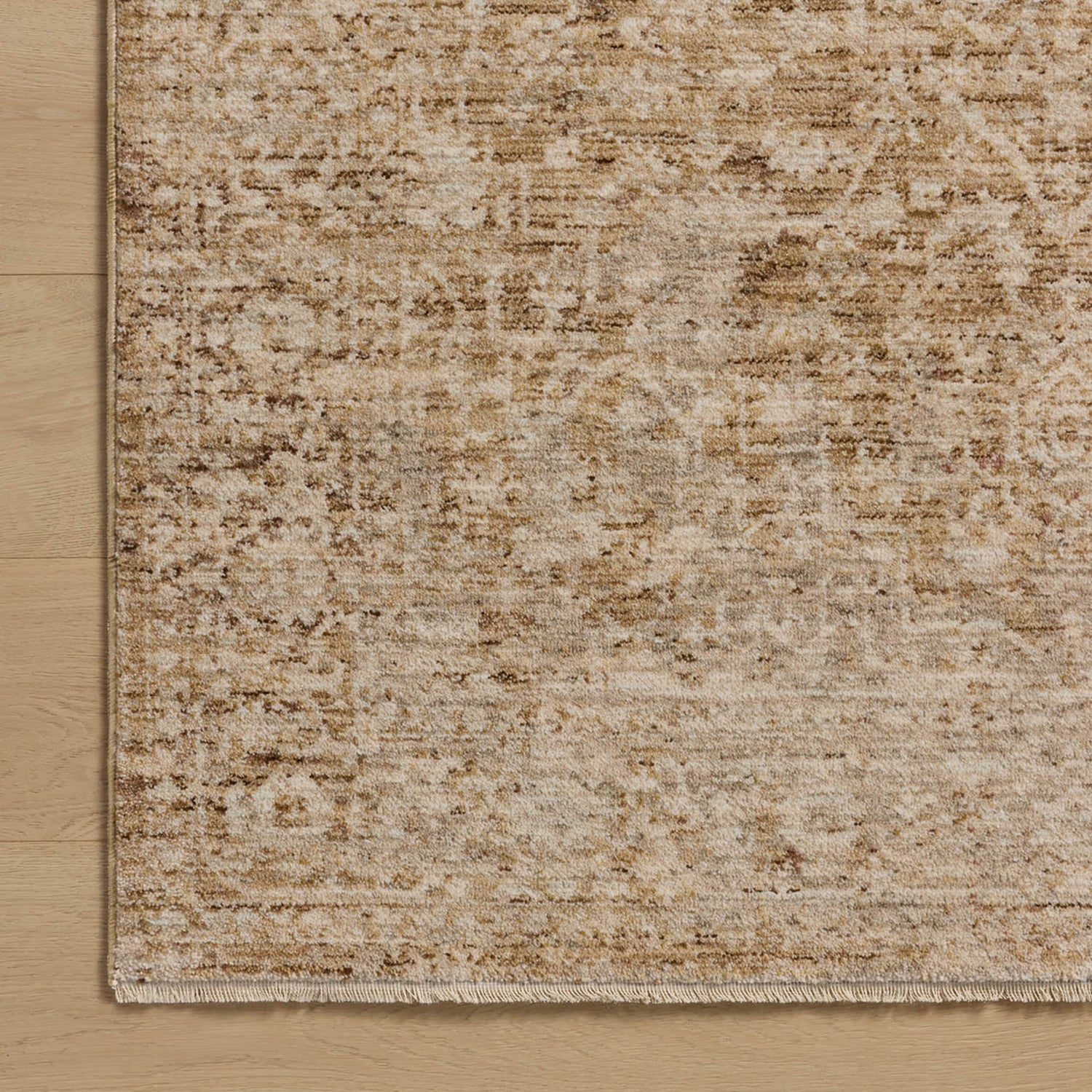 Loloi Newman Callum Power Loomed Rug