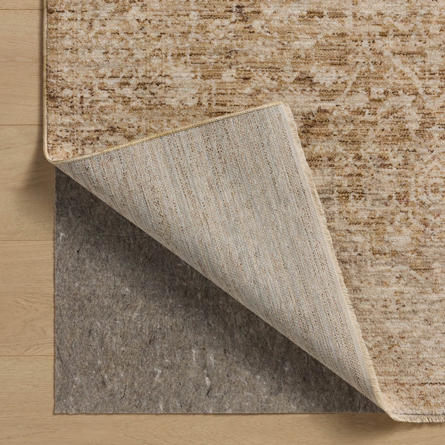 Loloi Newman Callum Power Loomed Rug