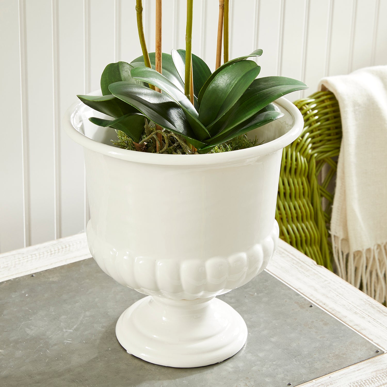 Mirabelle Decorative Pedestal Bowl