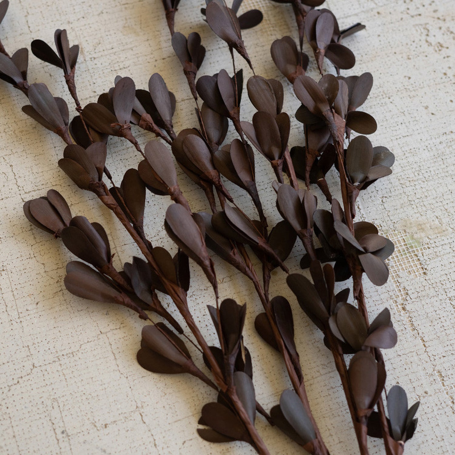 Rud Stick Dried Brown Faux Plant Stem Set of 12