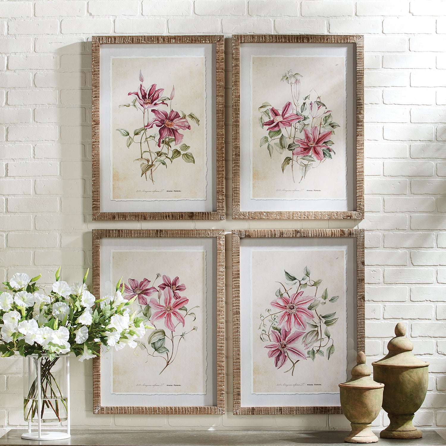 Pink Clematis Framed Print Set of 4