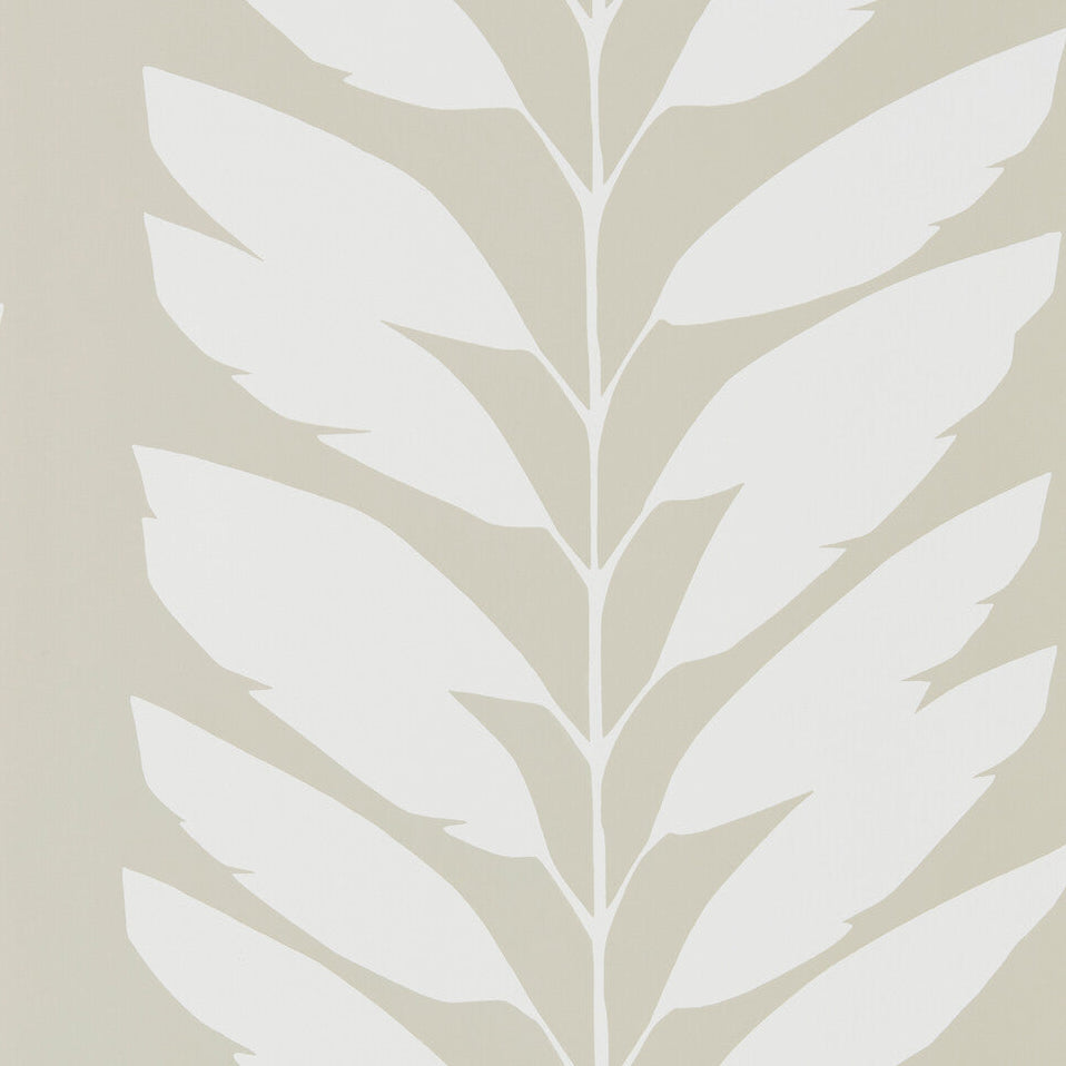 Scion x Kravet Malva Parchment Wallpaper