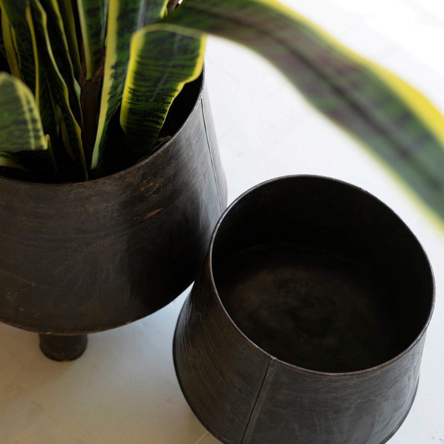 Hand-Hammered Iron Planters with Legs Set of 2