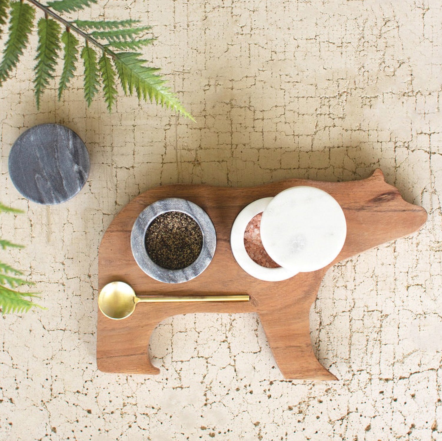 Bear Salt and Pepper with Serving Spoon Set of 4