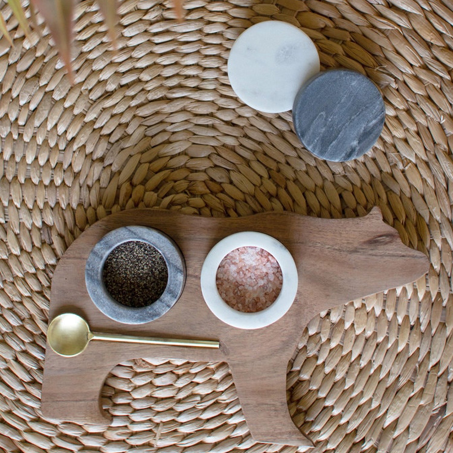 Bear Salt and Pepper with Serving Spoon Set of 4