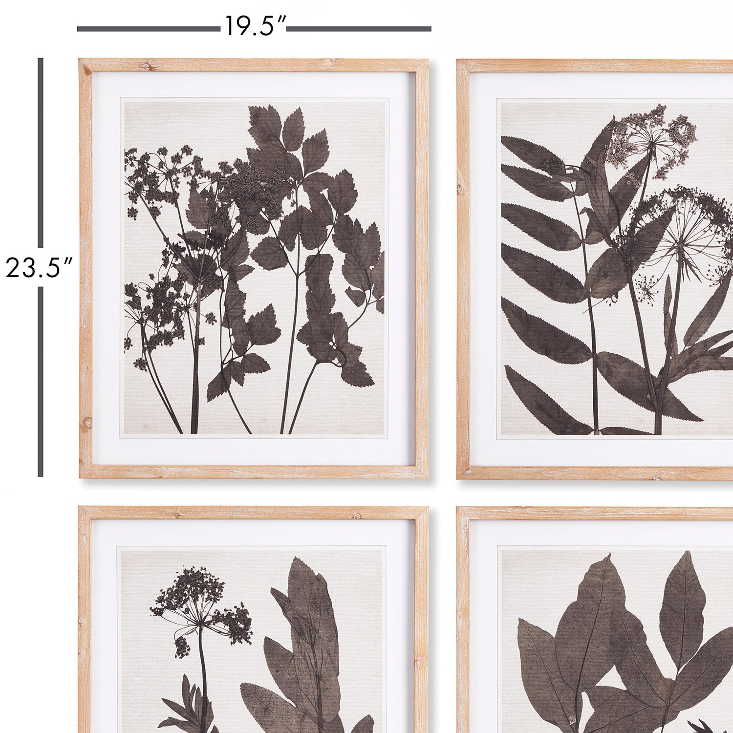 Pressed Foliage Wall Art Set of 4