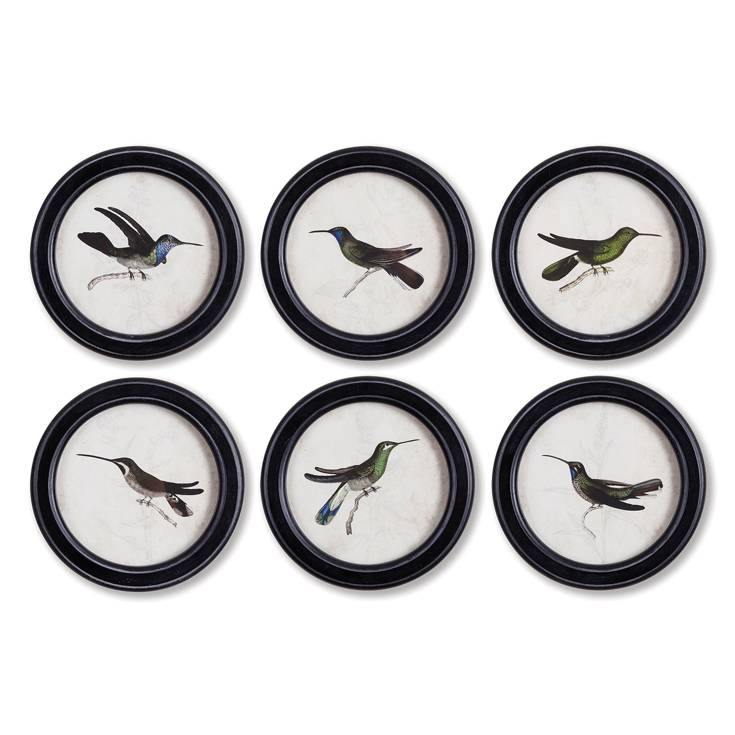 Hummingbird Round Petite Print Wall Art Set of 6