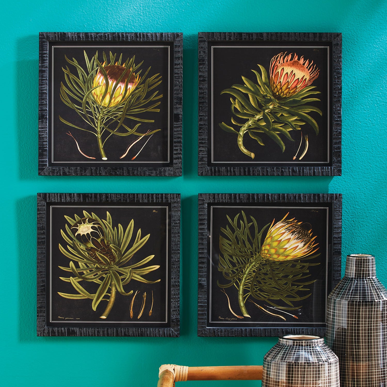 Protea Petite Wall Art Set of 4