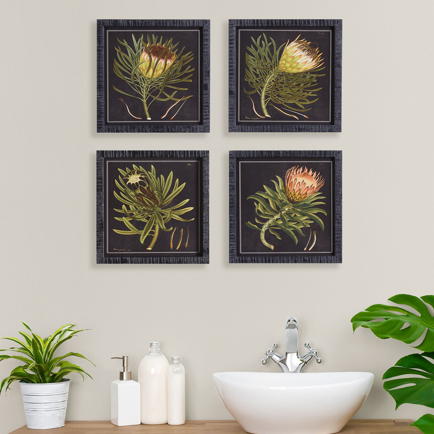 Protea Petite Wall Art Set of 4