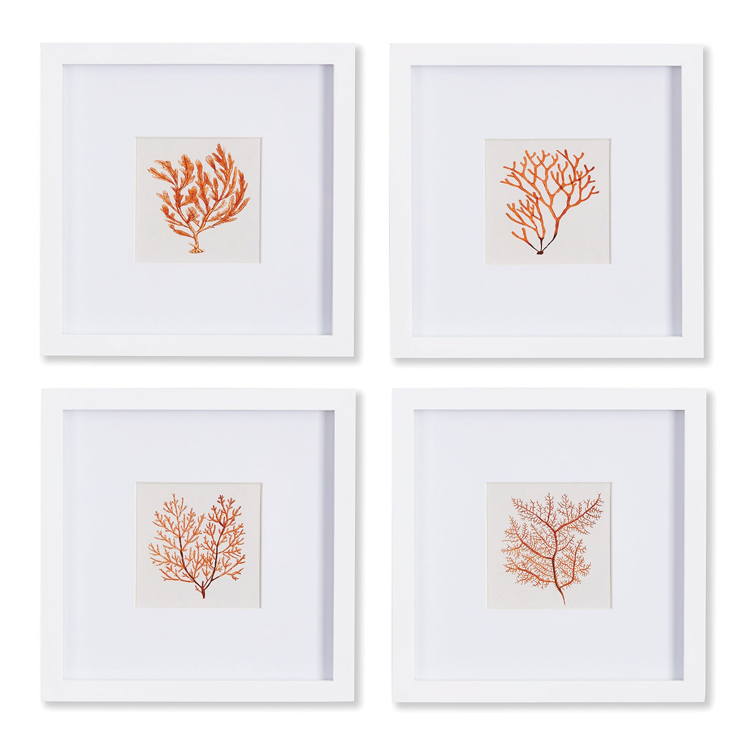 Branch Coral Petite Print Wall Art Set of 4