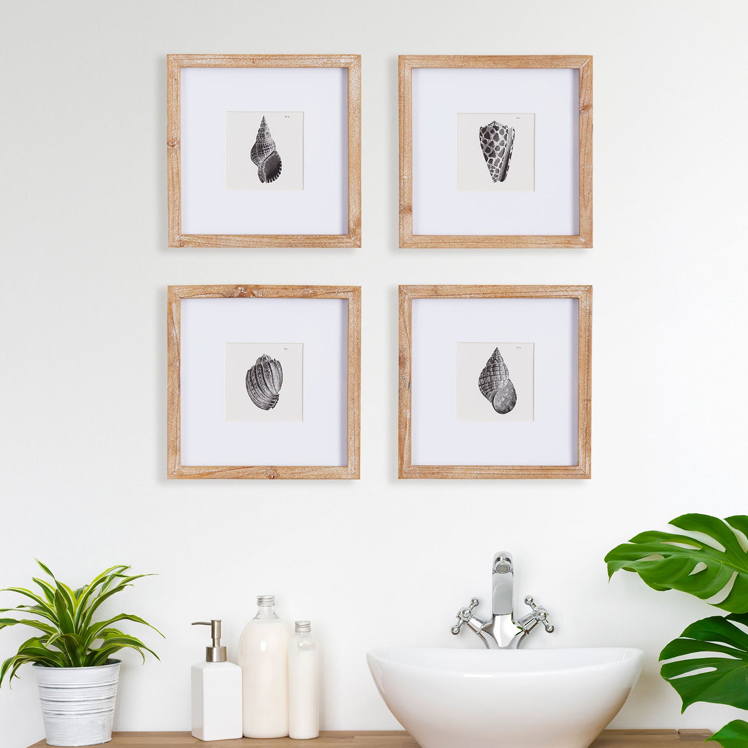 Seashell Petite Wall Art Set of 4