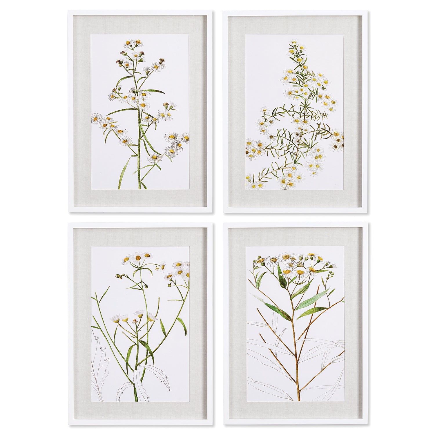 Daisy Print Wall Art Set of 4