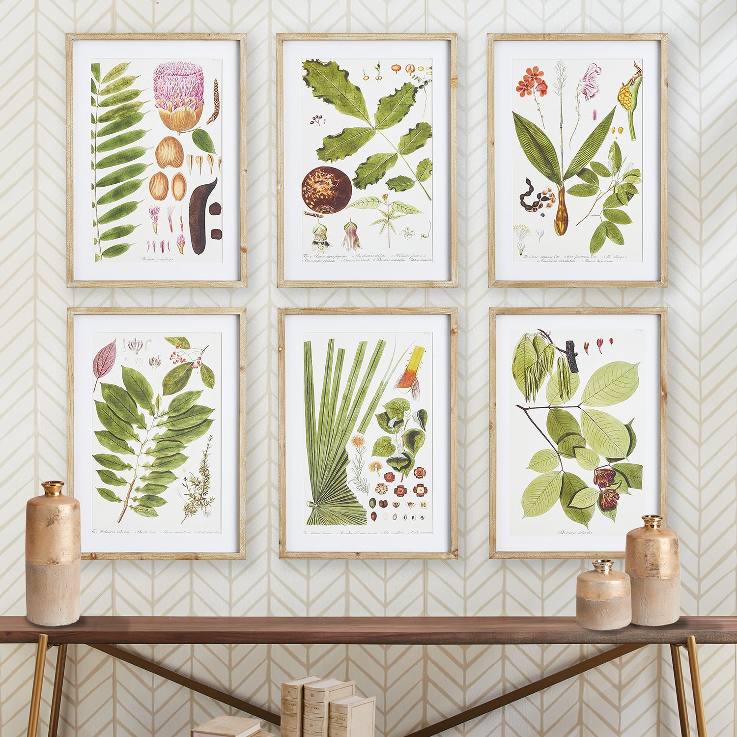 Leaf Botanical Study Wall Art Set of 6