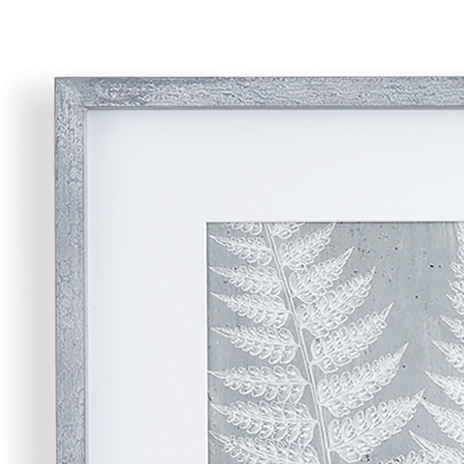 Fern Frond Print Wall Art Set of 3