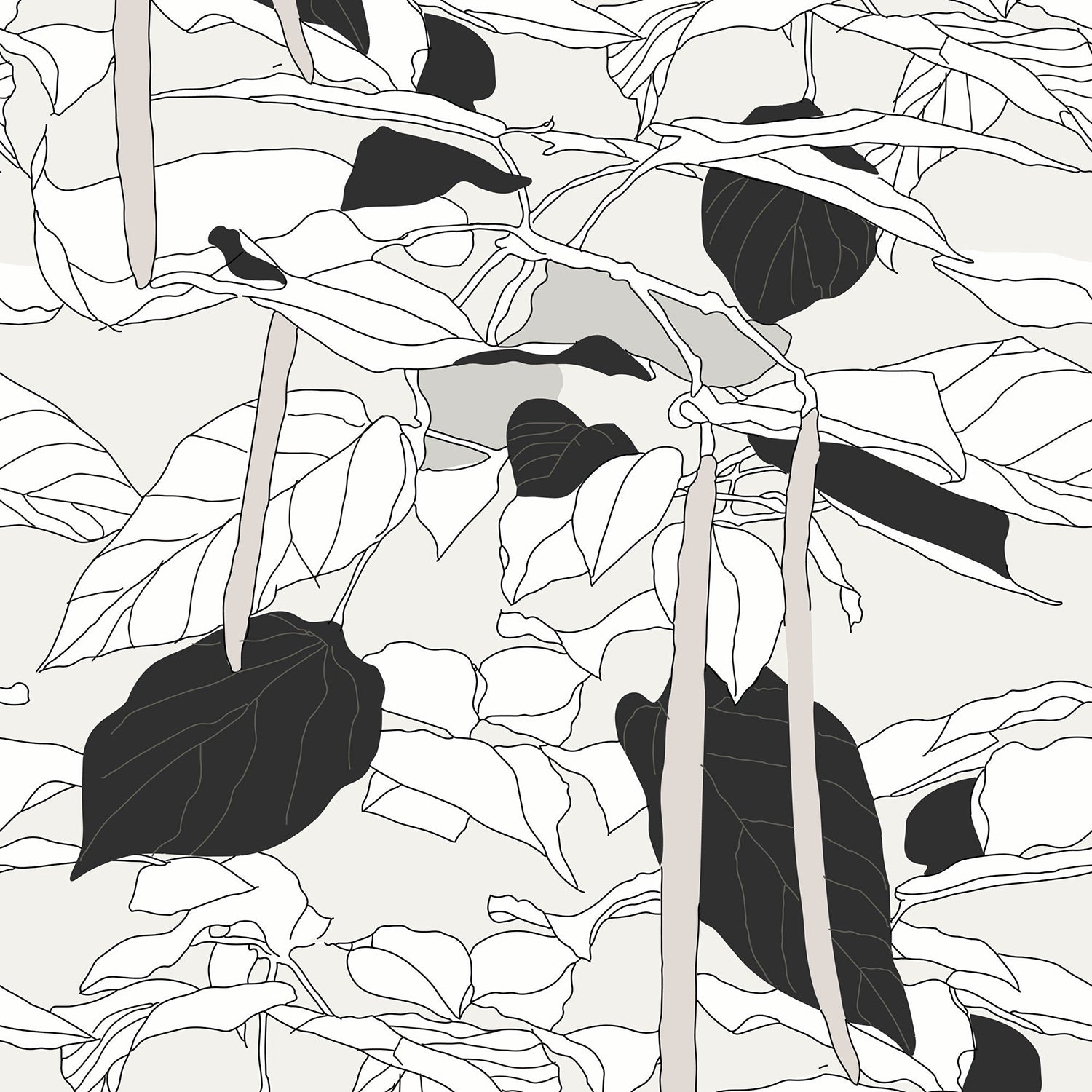 Mitchell Black x Natalie Papier Canopy Sketch Wallpaper
