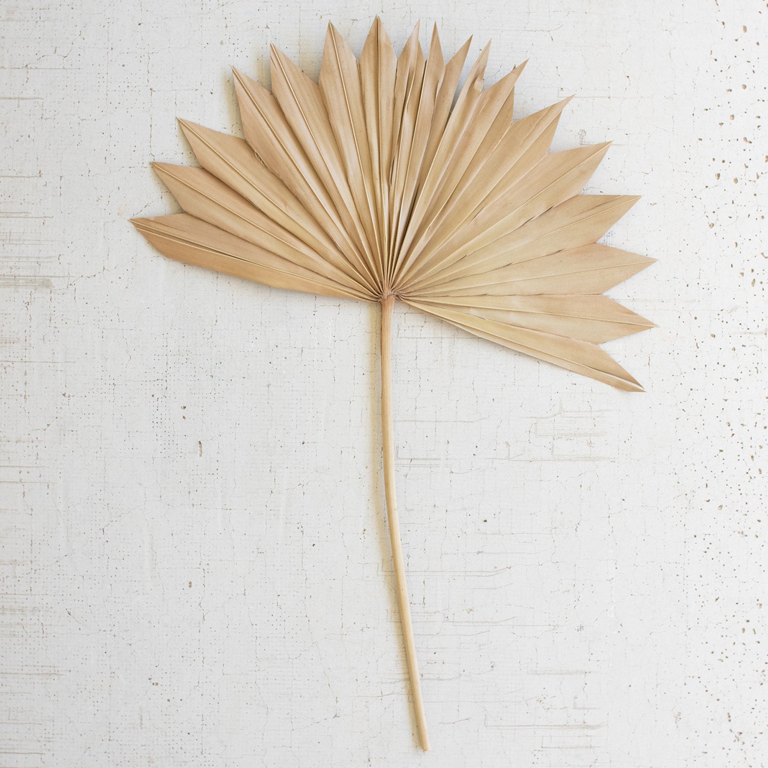 Sun Palm Large Faux Plant Stem Set of 12