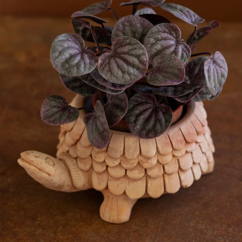Turtle Terracotta Planter