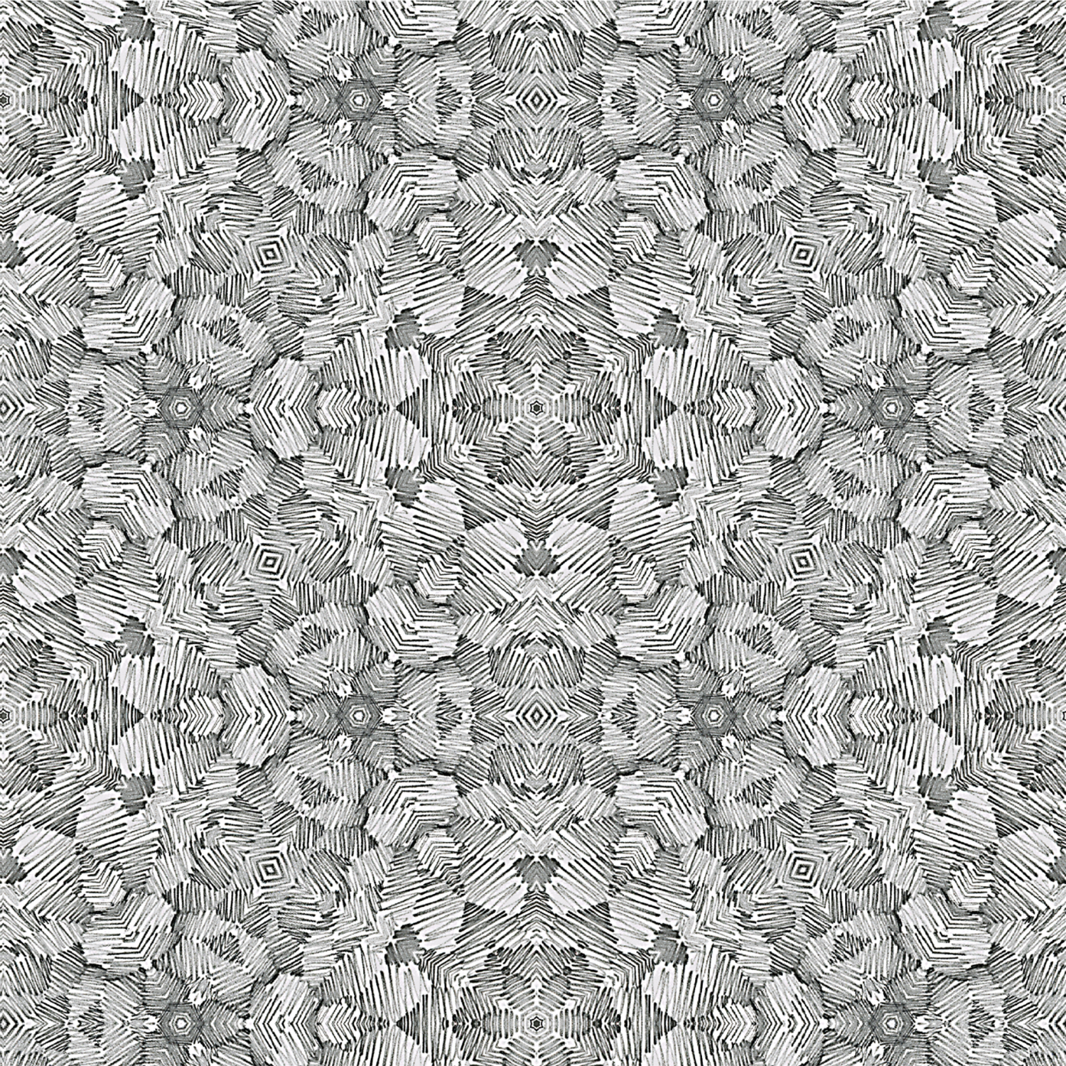 Mitchell Black Olio Wallpaper