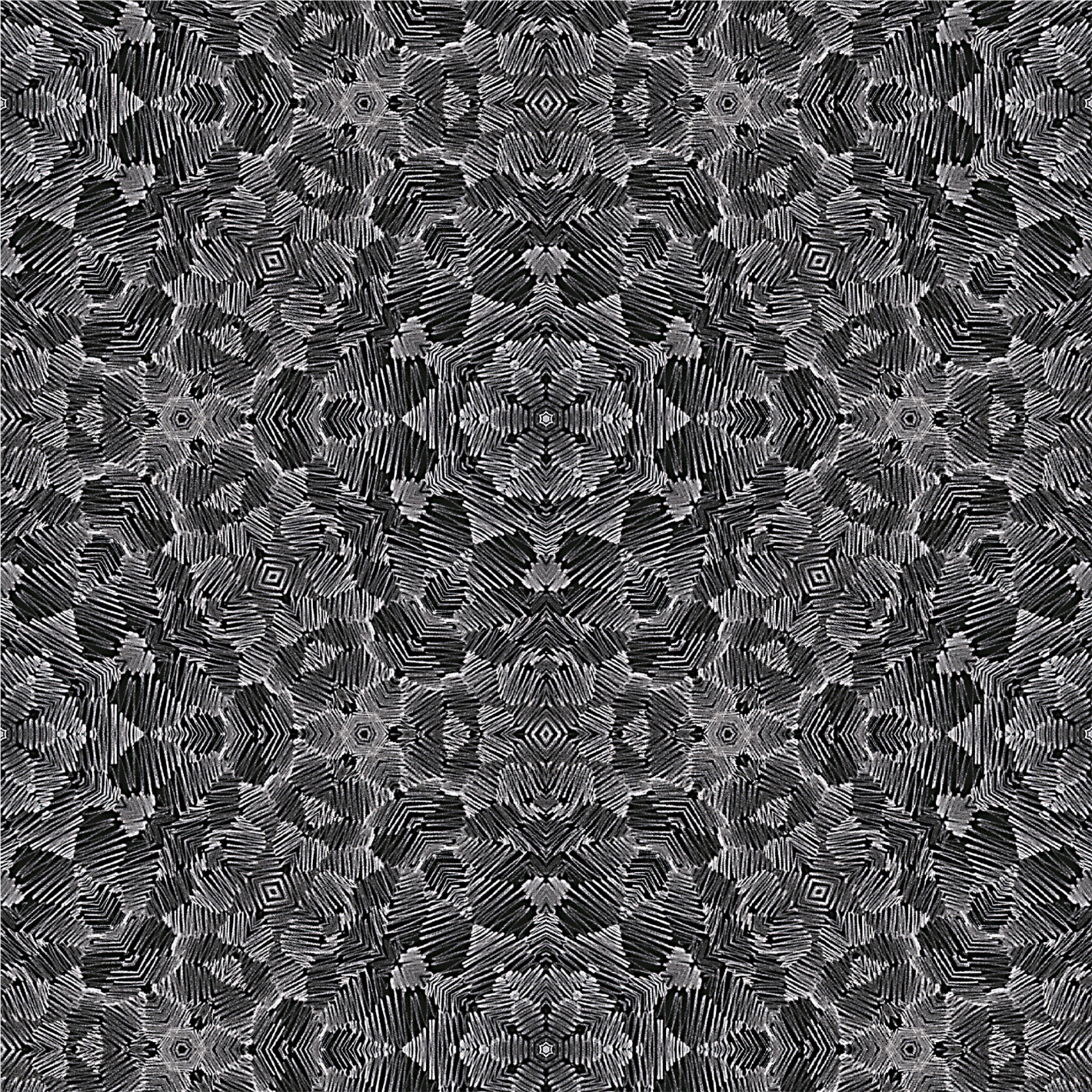 Mitchell Black Olio Wallpaper