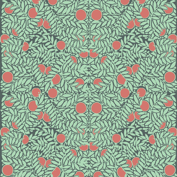 Mitchell Black Orange Bush Wallpaper Paynes Gray