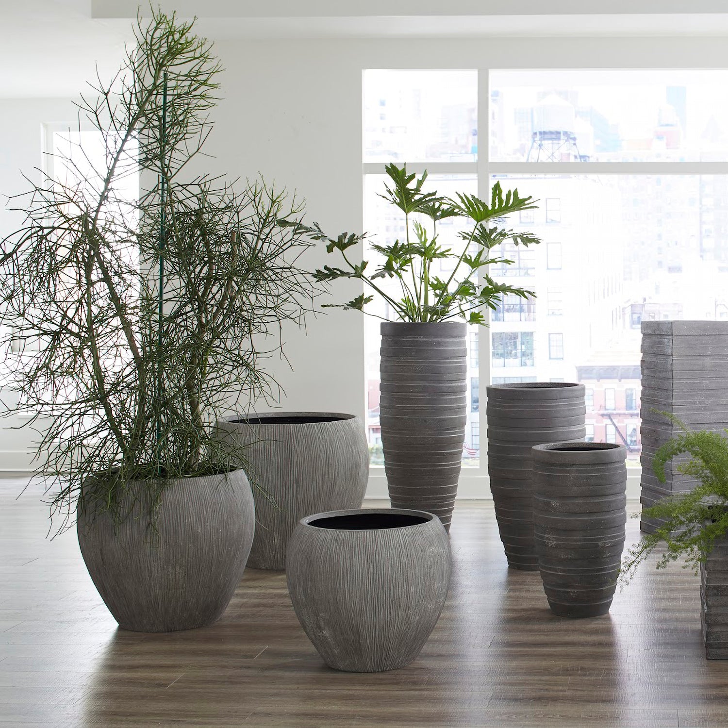 Phillips Collection Filament Planter