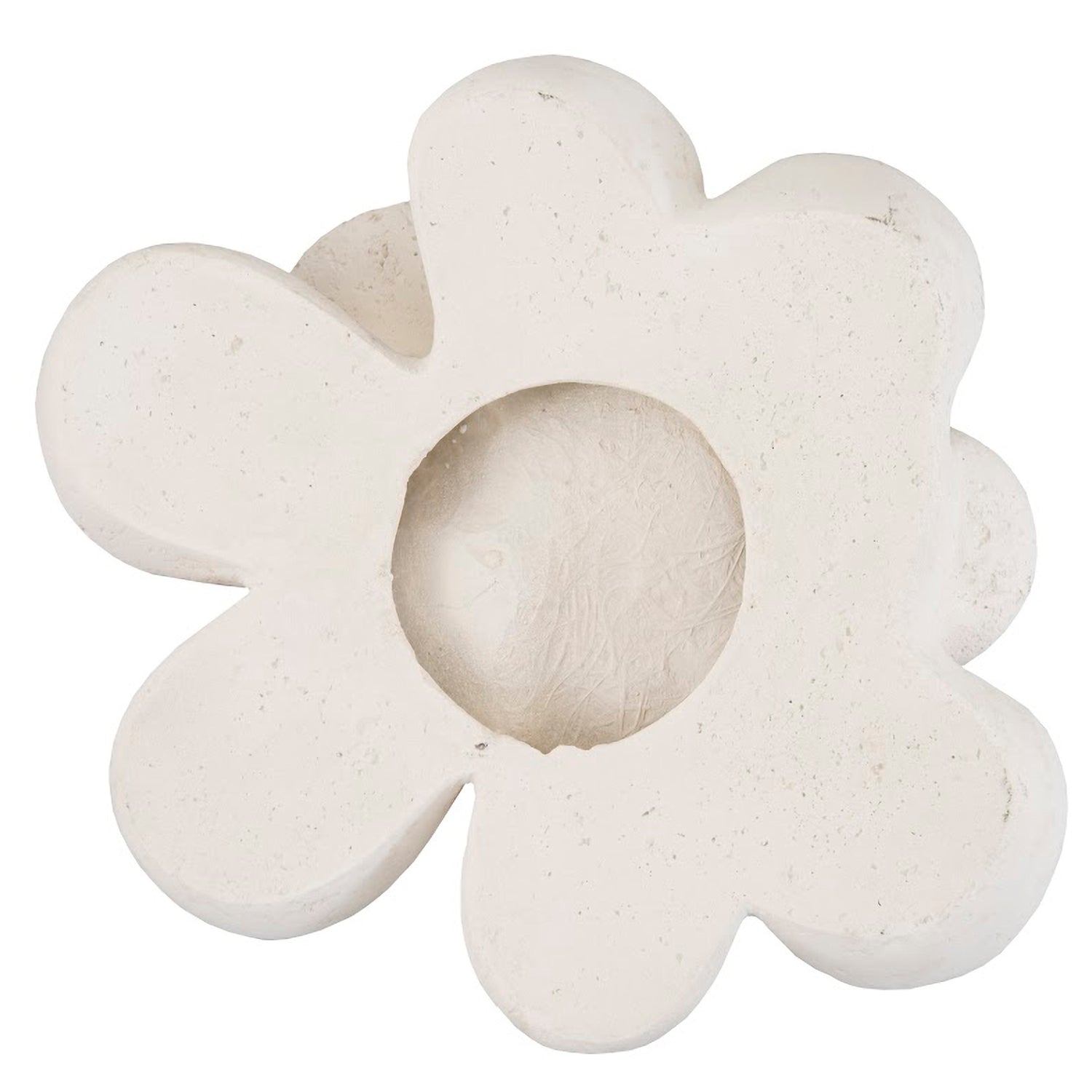 Phillips Collection Oviferum Succulent Wall Art