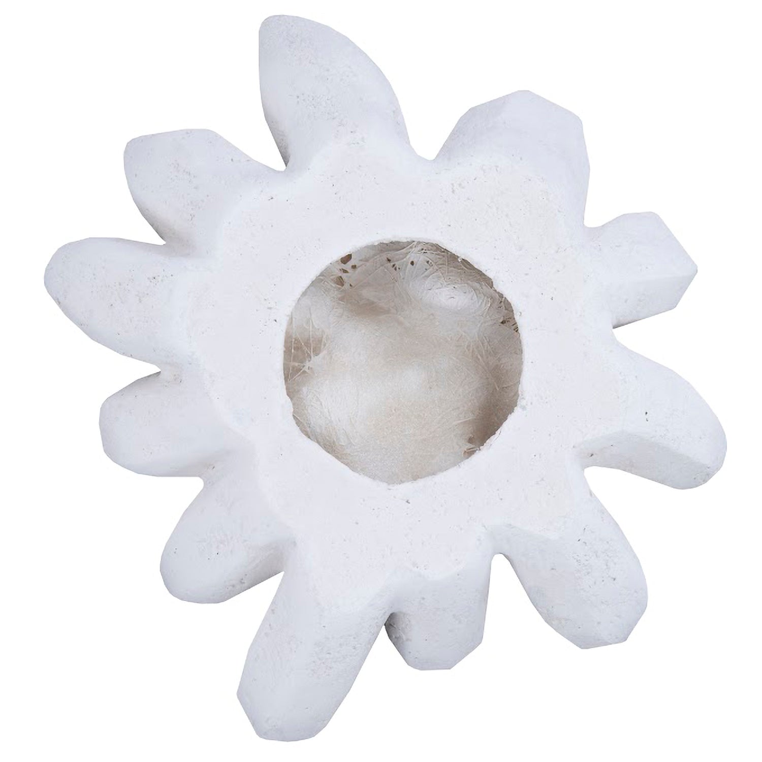 Phillips Collection Compactum Succulent Wall Art