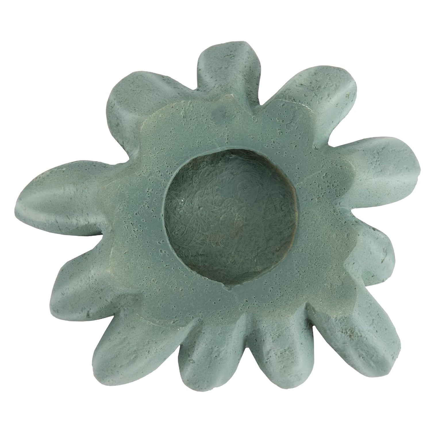 Phillips Collection Compactum Succulent Wall Art