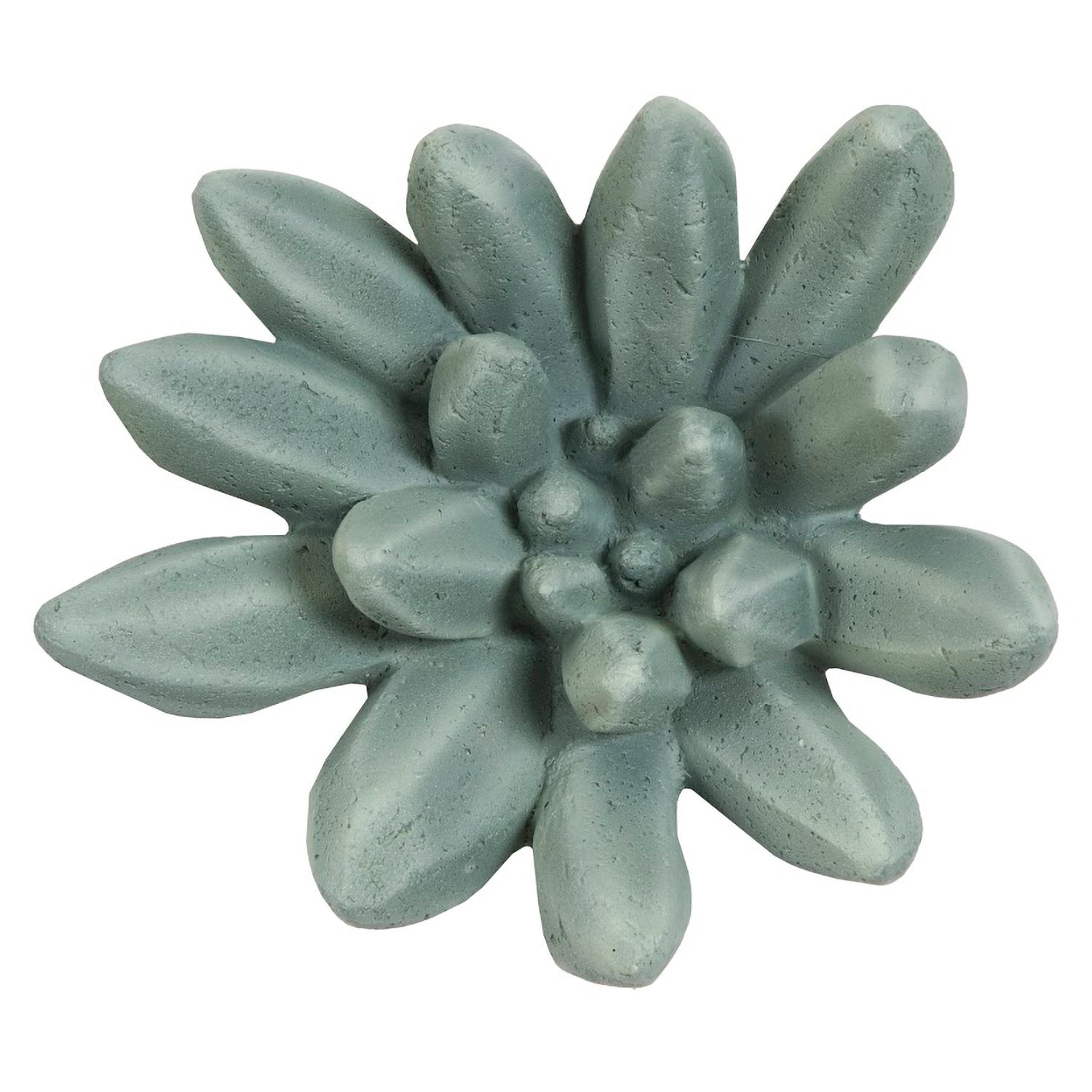 Phillips Collection Compactum Succulent Wall Art