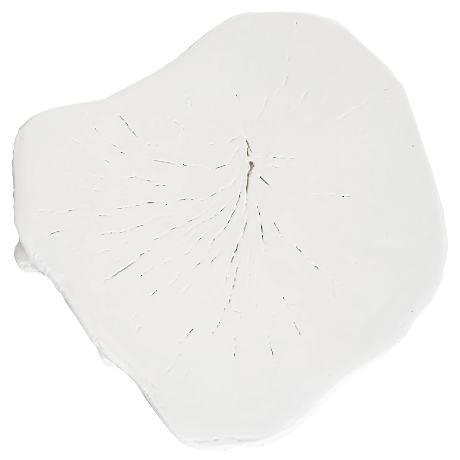 Phillips Collection Log Stool