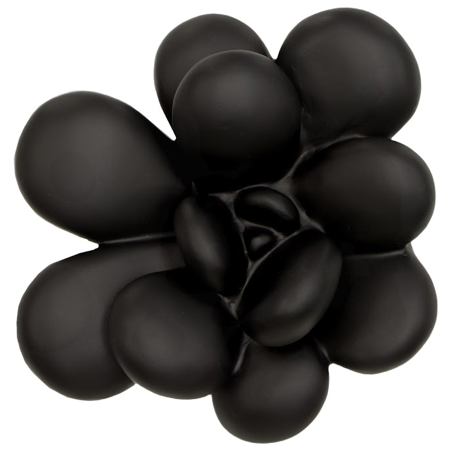 Phillips Collection Oviferum Succulent Wall Art