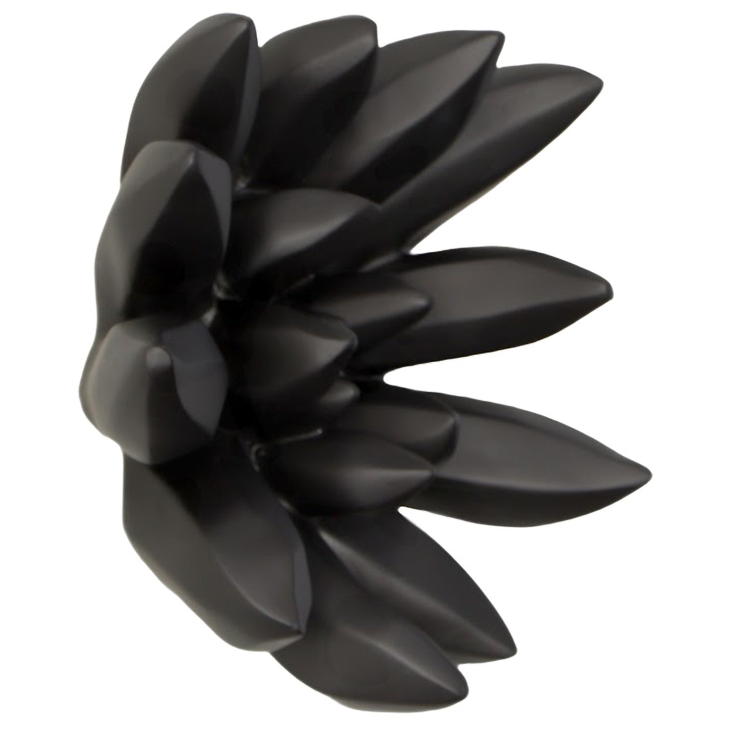 Phillips Collection Compactum Succulent Wall Art