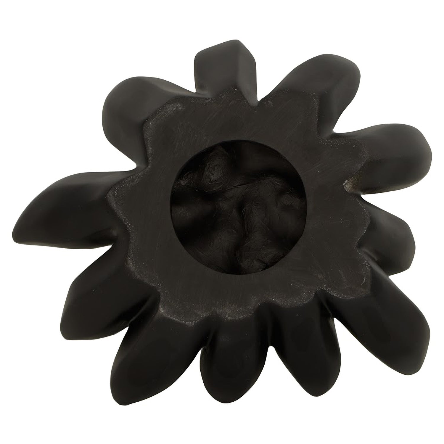 Phillips Collection Compactum Succulent Wall Art