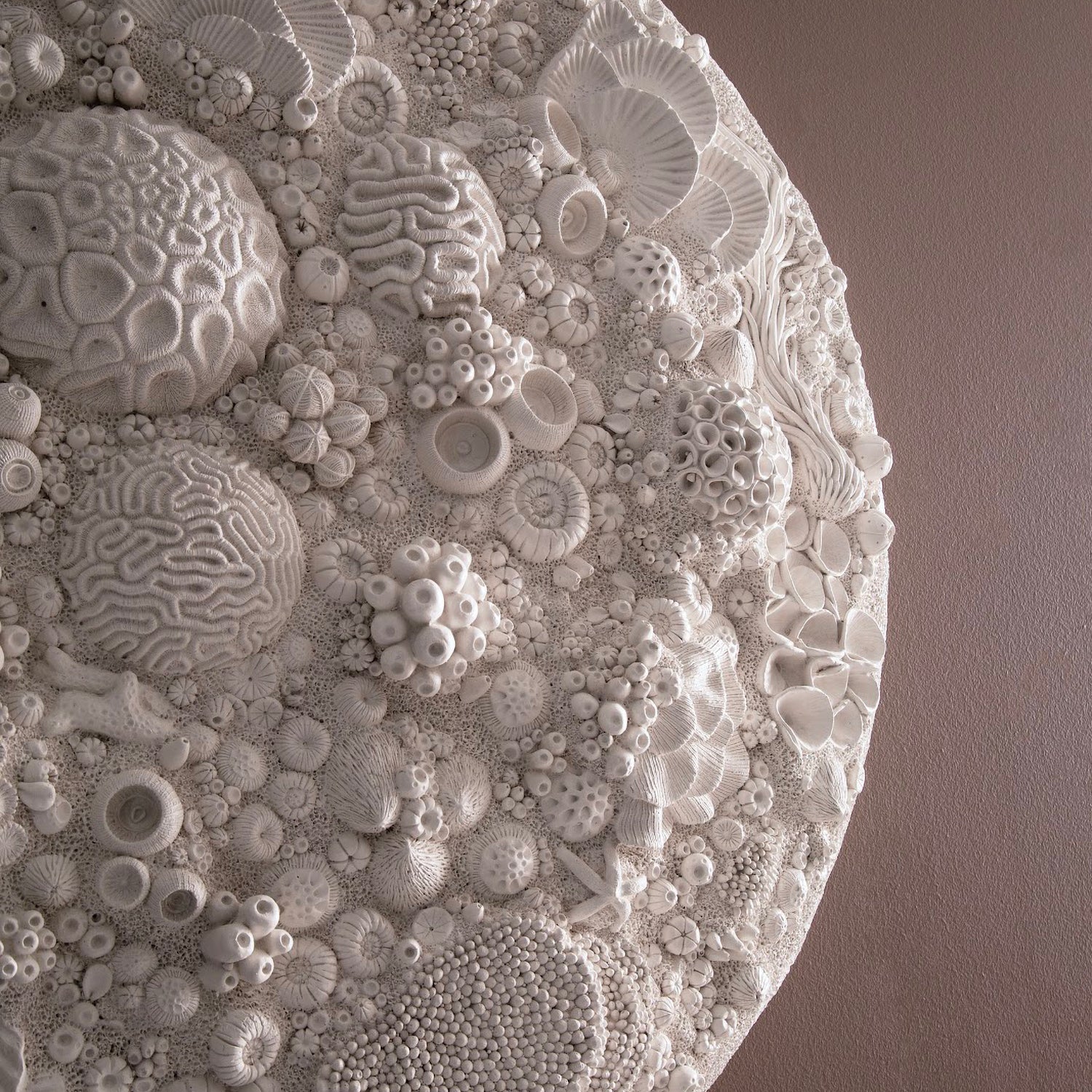 Phillips Collection Coral Reef Wall Art