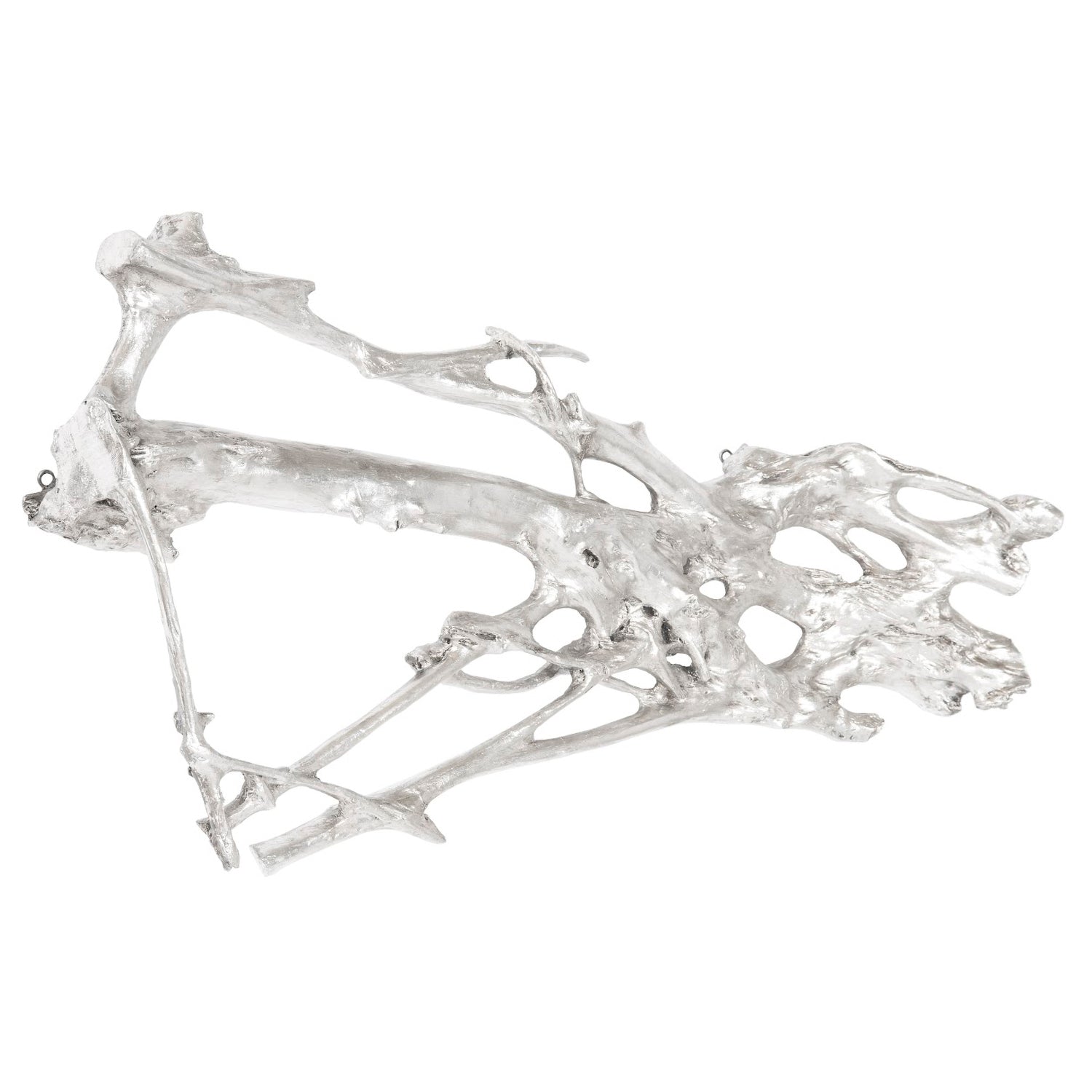 Phillips Collection Root Wall Art