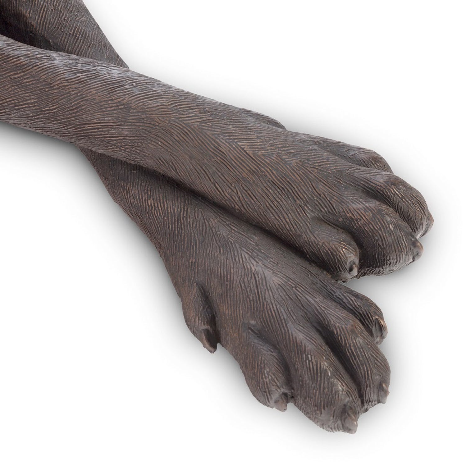 Phillips Collection Great Dane