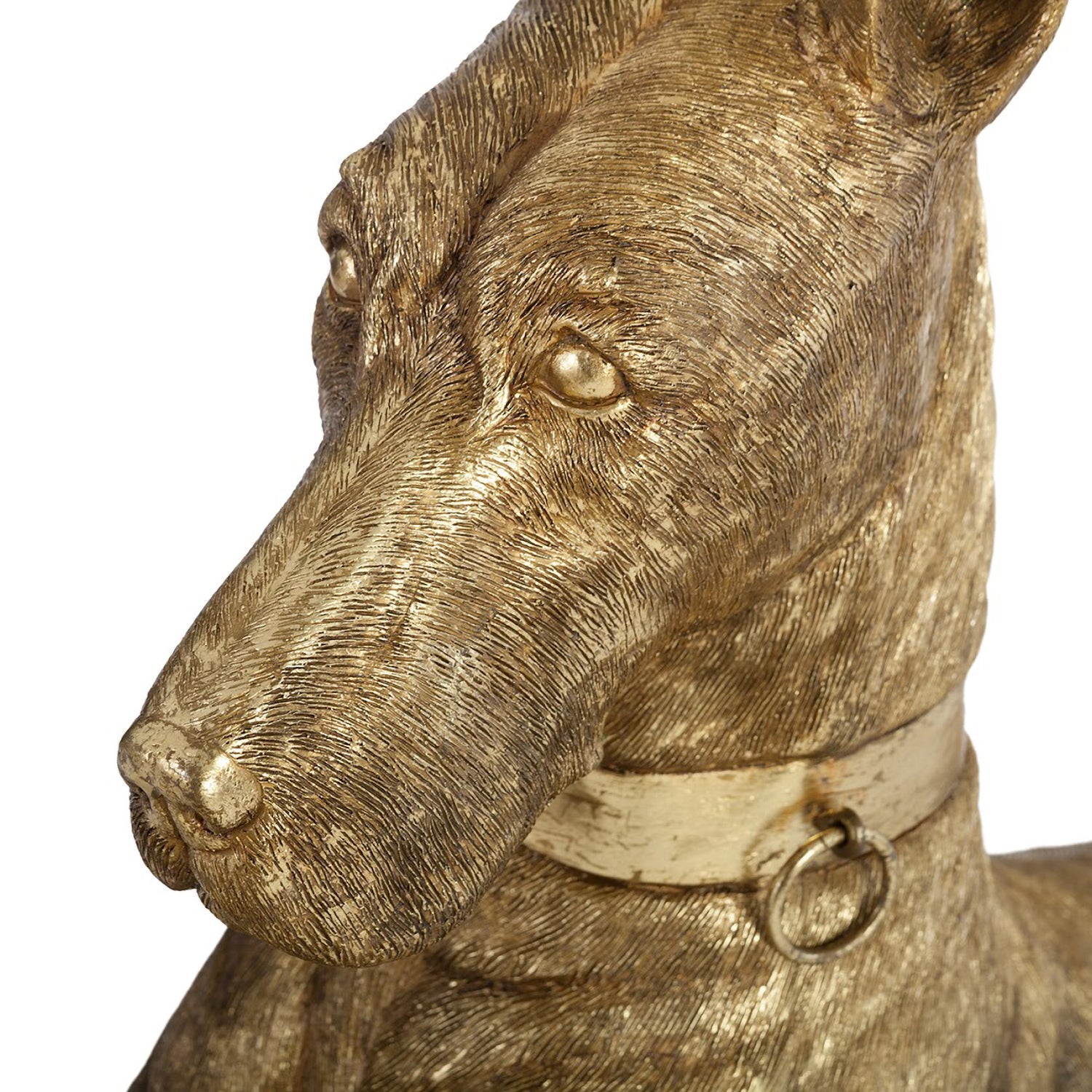 Phillips Collection Great Dane