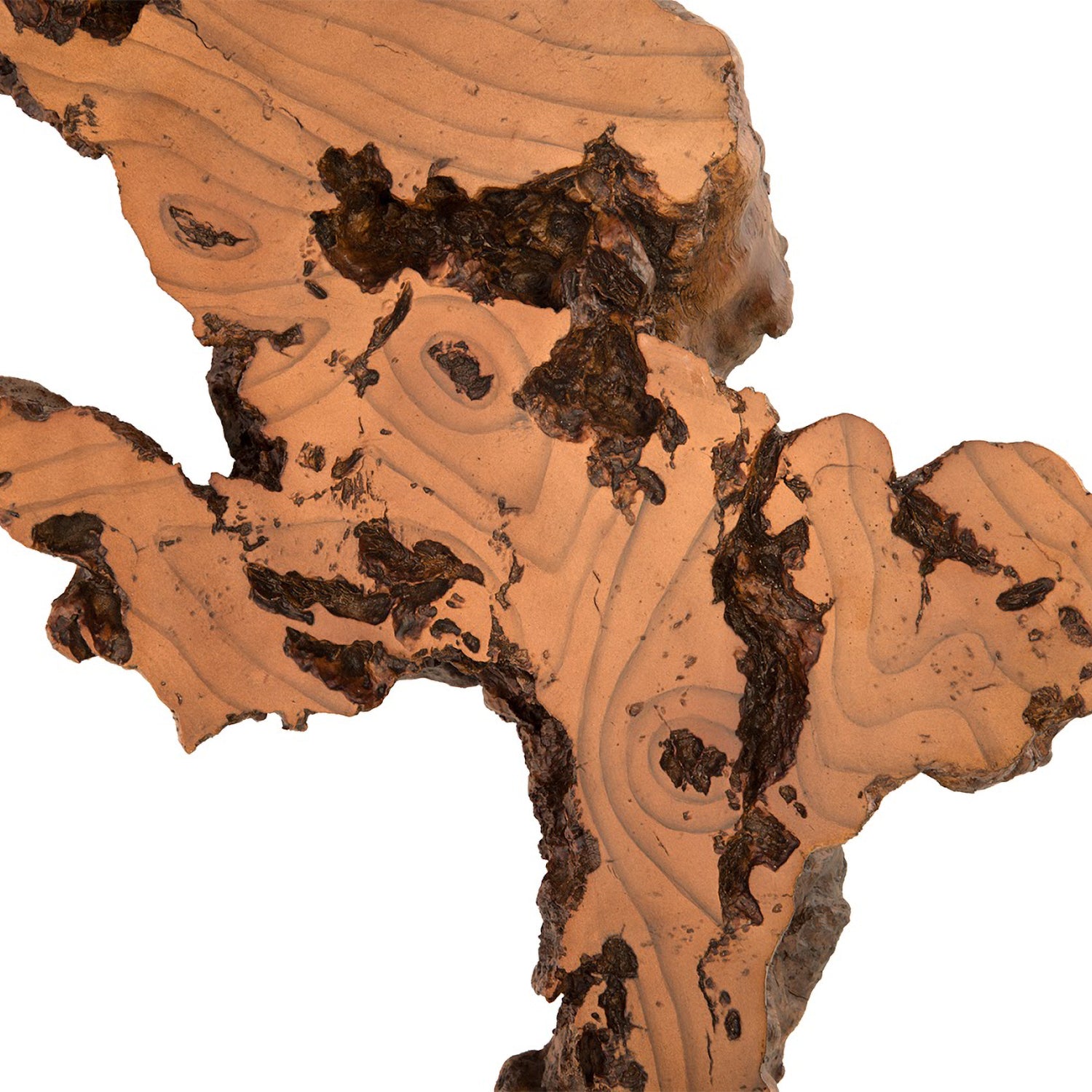 Phillips Collection Medium Burled Root Wall Art