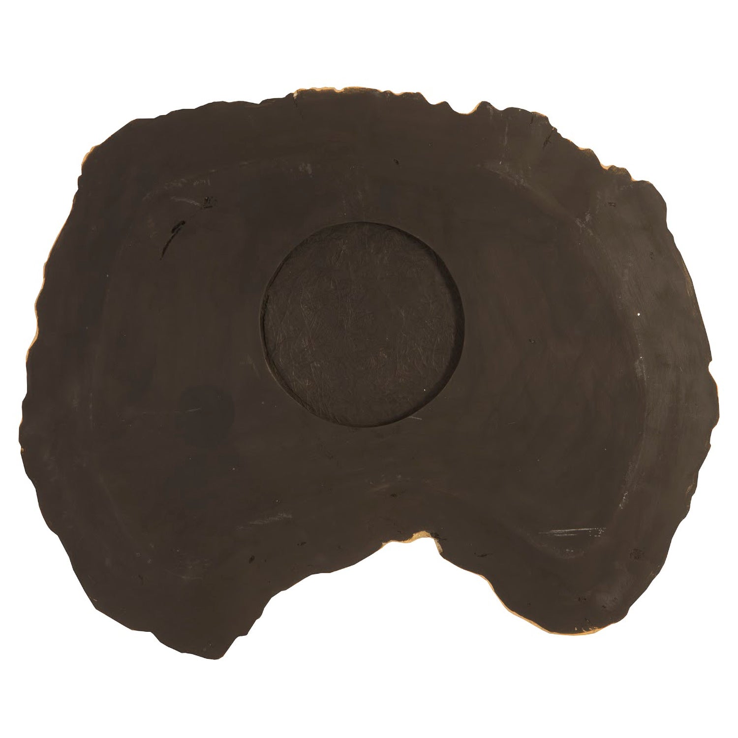 Phillips Collection Thin Cast Petrified Wood Wall Tile