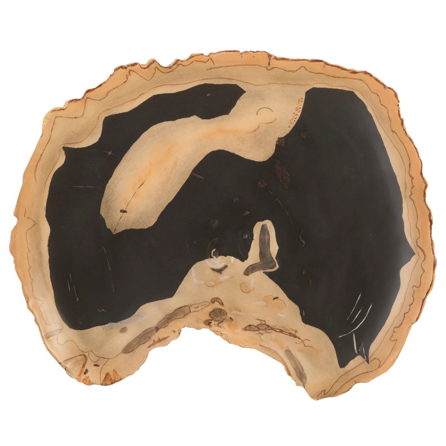 Phillips Collection Thin Cast Petrified Wood Wall Tile