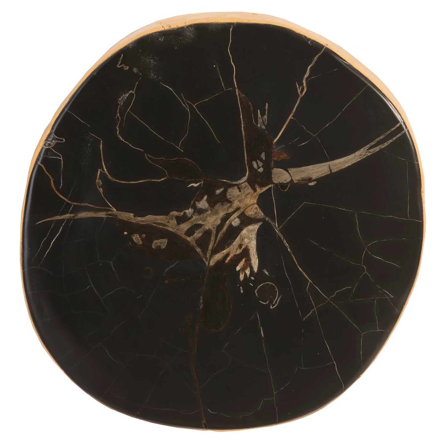 Phillips Collection Cast Petrified Wood Wall Tile