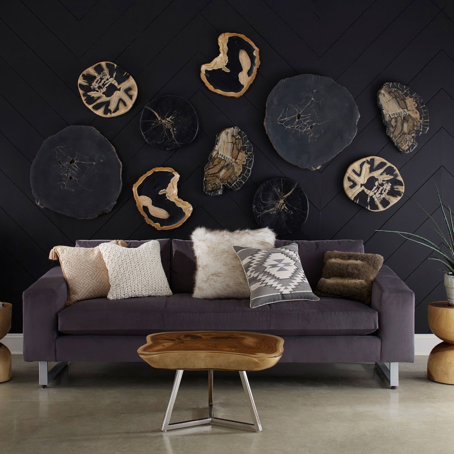 Phillips Collection Cast Petrified Wood Wall Tile